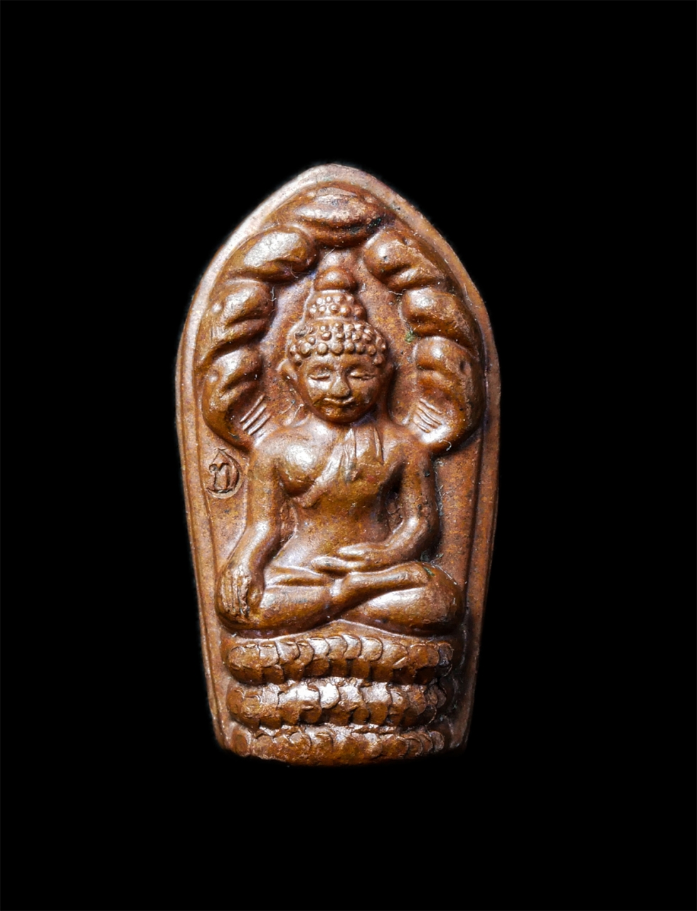 2568-12-07 14-1 (243)p.jpg - พระนาคปรกใบมะขาม หลวงพ่อทอง วัดเภตราสุขารมย์ อ.แกลง จ.ระยอง ปี2559 เหรียญเนื้อทองแดง ตอกโค๊ต ท พระสวย มวลสารดี น่าเก็บสะสมบูชา | https://kamulet.in.th